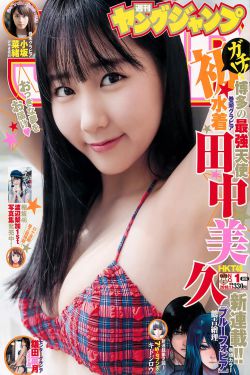 幸福草电视剧演员表介绍